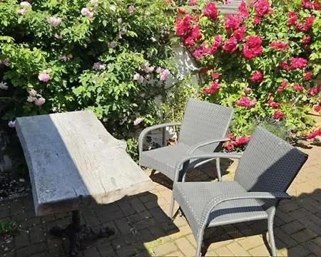 Frankenstein Gross Mohrdorf